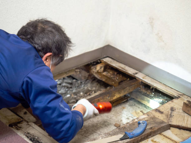 Professional Mold Remediation in Kalamazoo, MI