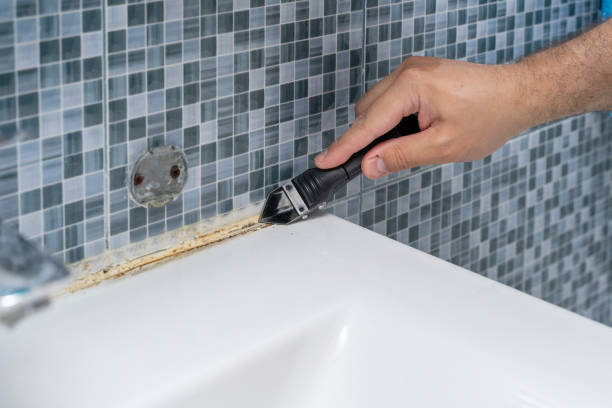 Best Residential Mold Remediation in Kalamazoo, MI