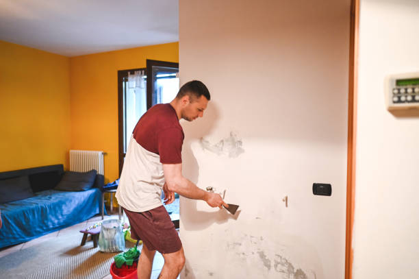 Best Insurance-Related Mold Remediation in Kalamazoo, MI
